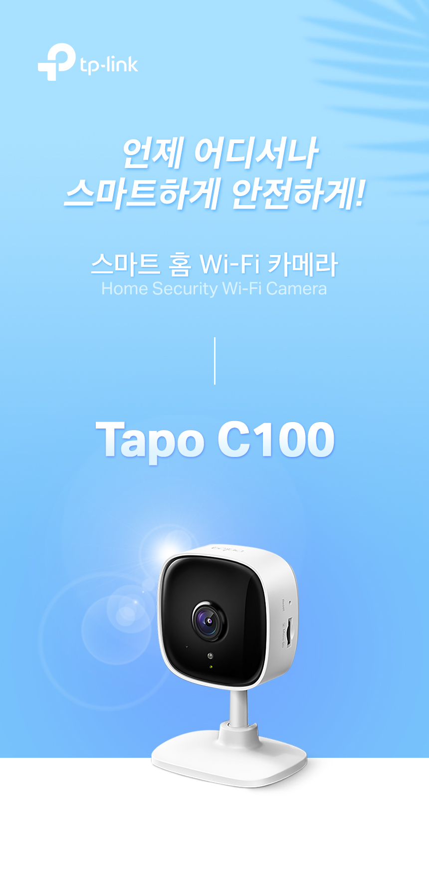TapoC100_1.jpg